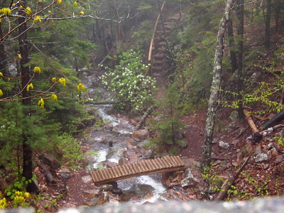 [Log bridge with no rails several feet above the rocky brook. On the right side of the brook a bit downstream are stone steps with a railing leading up the hillside to the level of the stone Hadlock bridge.]